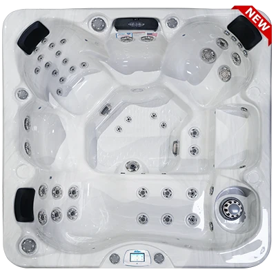 Avalon-X EC-849LX hot tubs for sale in Germany